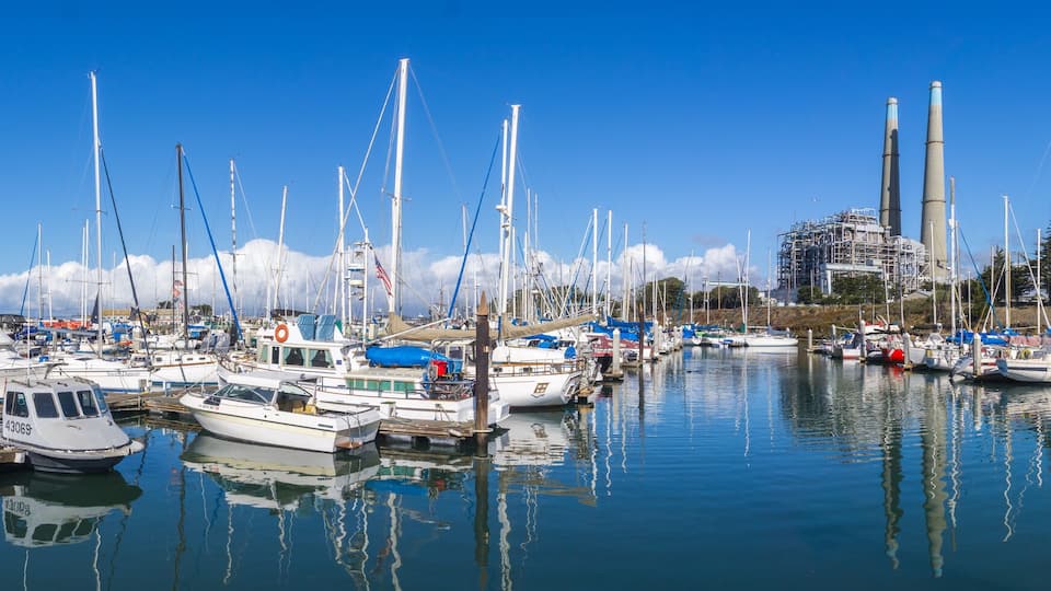 A marina with numerous sailboats docked.