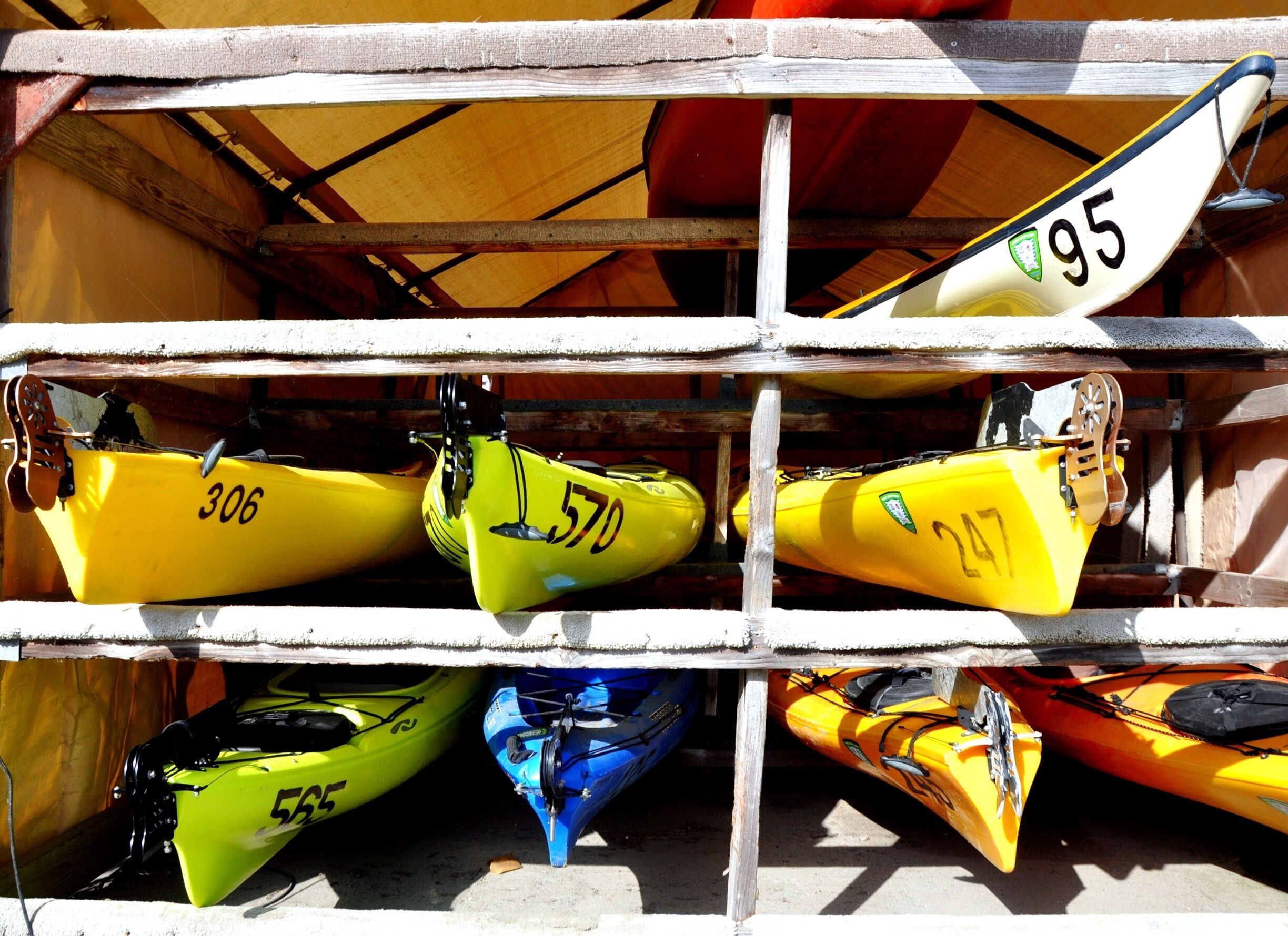 Kayaking with my Dad and kids, we left from the Moss Landing kayak shop to head up Elkhorn Slough Reserve. 

This is a FANTASTIC outing! You see amazing wildlife, very close by. The quiet calm of the slough is peaceful and restorative. 