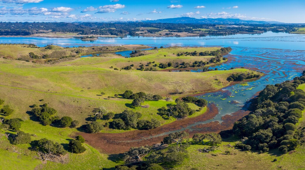 Aerial Panoramic View of Elkhorn Slough, Moss Landing, California. Elkhorn Slough is a 7-mile-long tidal slough and estuary on Monterey Bay in Monterey County, California.
