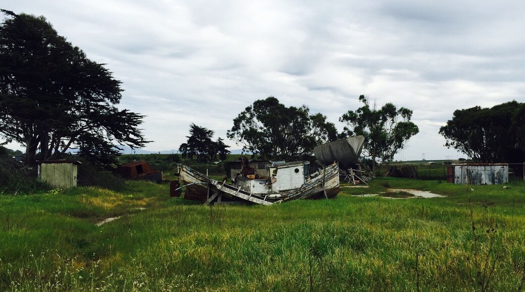 This old boat made a good picture. I bet it has a good story to tell.