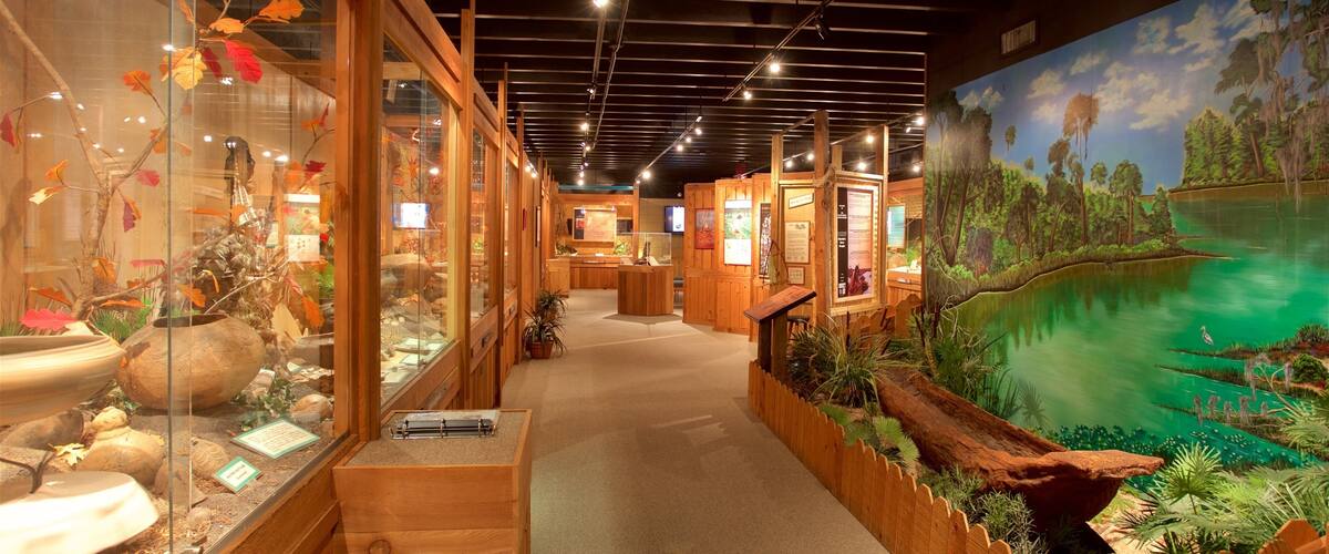 Florida Panhandle welches beinhaltet Innenansichten und Kunst