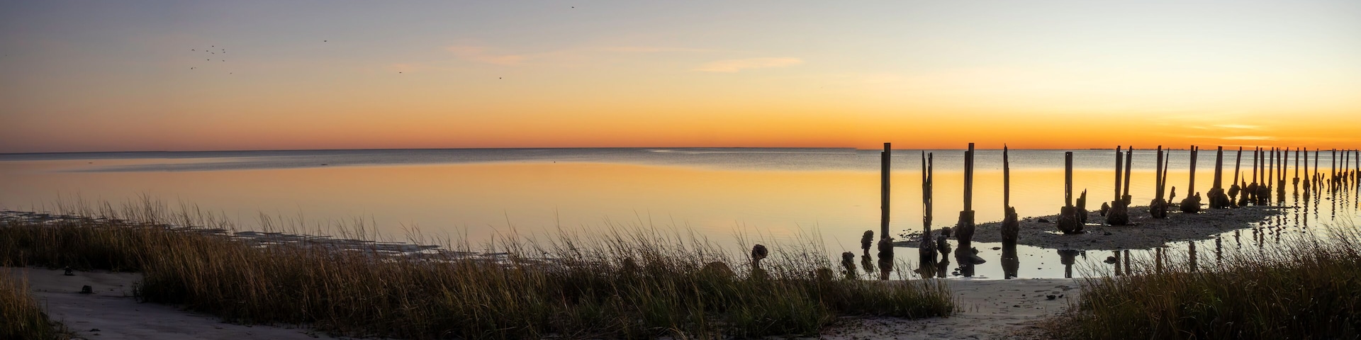A beach at sunset with calm waters, tall grasses, and wooden posts.
