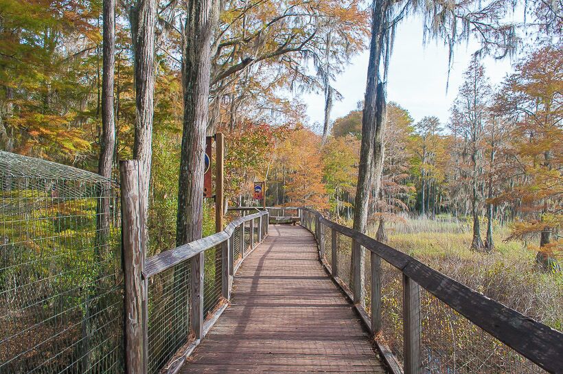 Tallahassee Junior Museum 

#landscape #travel #places  