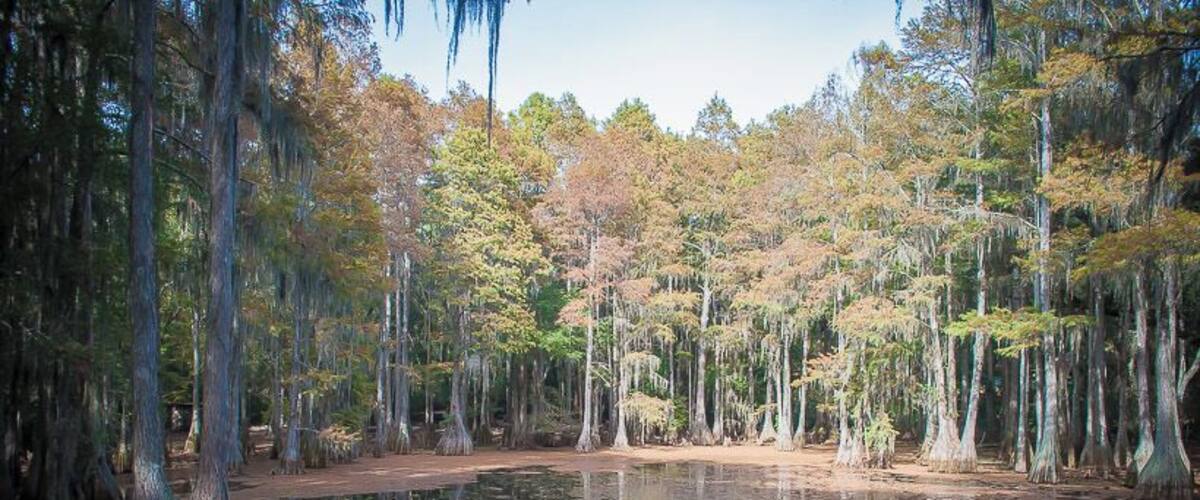Tallahassee Junior Museum
#landscape #travel #places