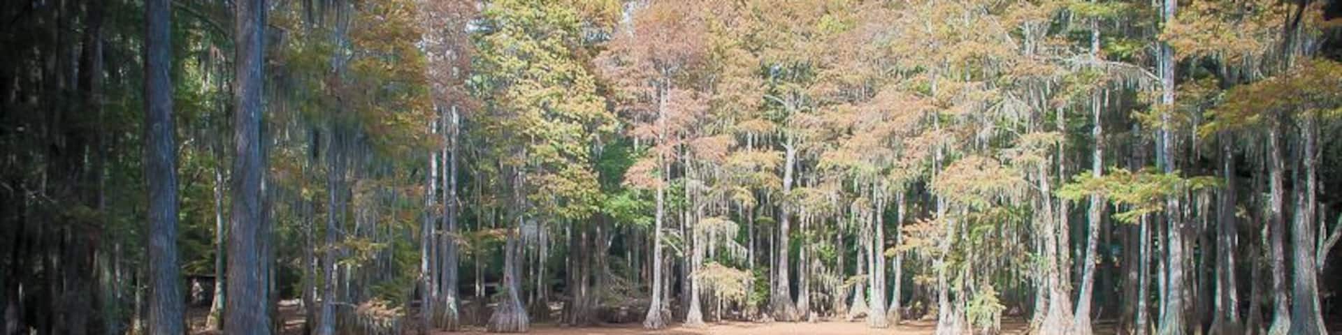 Tallahassee Junior Museum
#landscape #travel #places