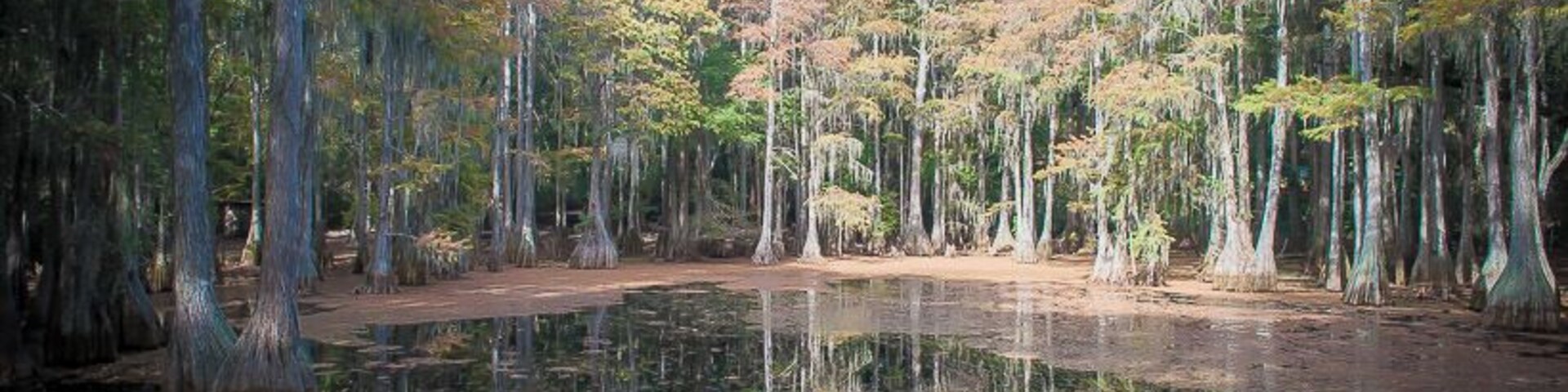 Tallahassee Junior Museum
#landscape #travel #places