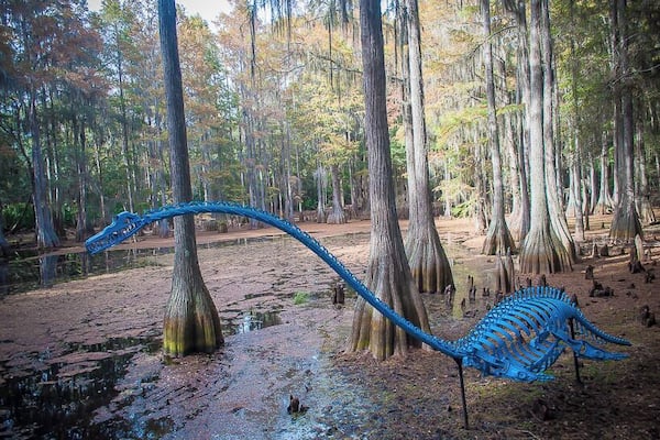 Tallahassee Junior Museum