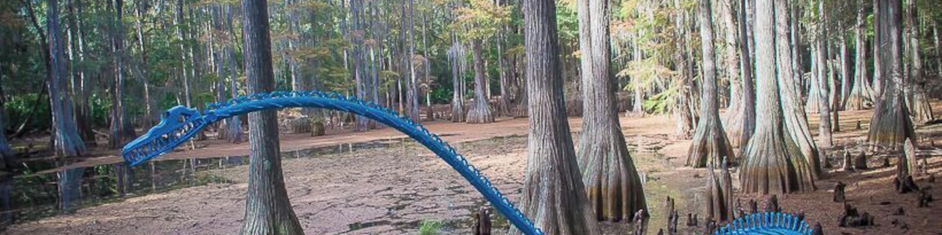 Tallahassee Junior Museum