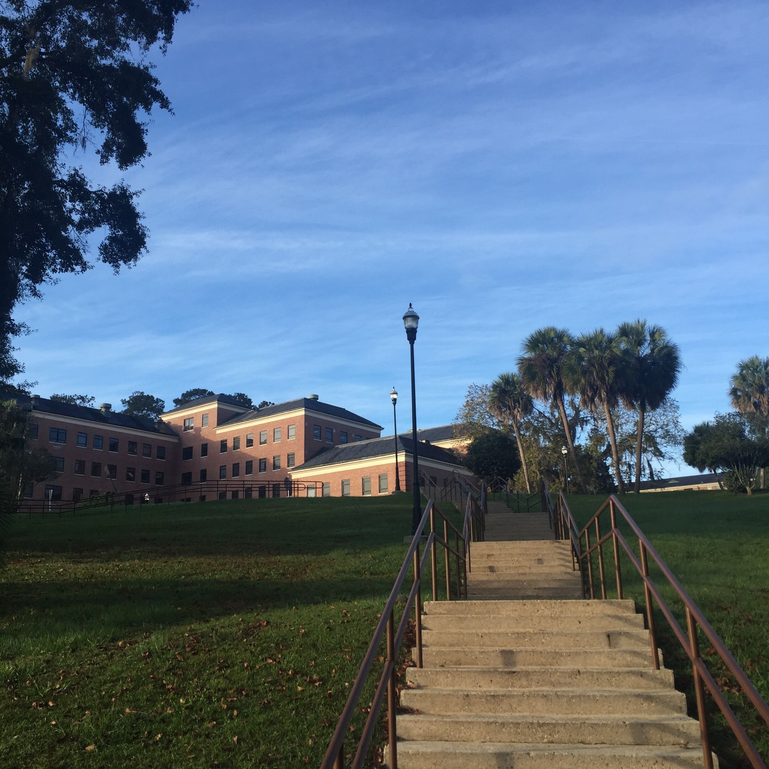 They say Florida is flat. I guess I chose the one place that disproves that notion. 
Founded October 3, 1887 in Tallahassee Fl. on the former Highwood plantation, Florida Agricultural & Mechanical University (FAMU) sits atop some of the highest hills in the state of Florida and overlook the capital city through a mix of towering palms and majestic, Spanish moss laden, Live Oak trees. More pictures to come