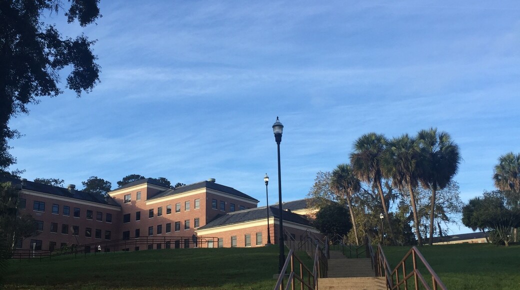 They say Florida is flat. I guess I chose the one place that disproves that notion.
Founded October 3, 1887 in Tallahassee Fl. on the former Highwood plantation, Florida Agricultural & Mechanical University (FAMU) sits atop some of the highest hills in the state of Florida and overlook the capital city through a mix of towering palms and majestic, Spanish moss laden, Live Oak trees. More pictures to come
