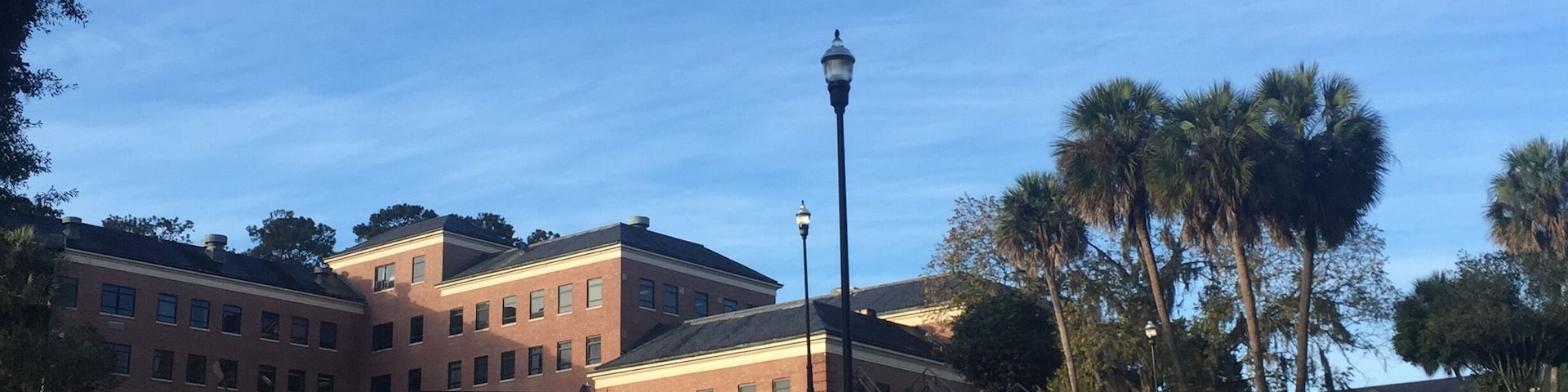 They say Florida is flat. I guess I chose the one place that disproves that notion.
Founded October 3, 1887 in Tallahassee Fl. on the former Highwood plantation, Florida Agricultural & Mechanical University (FAMU) sits atop some of the highest hills in the state of Florida and overlook the capital city through a mix of towering palms and majestic, Spanish moss laden, Live Oak trees. More pictures to come
