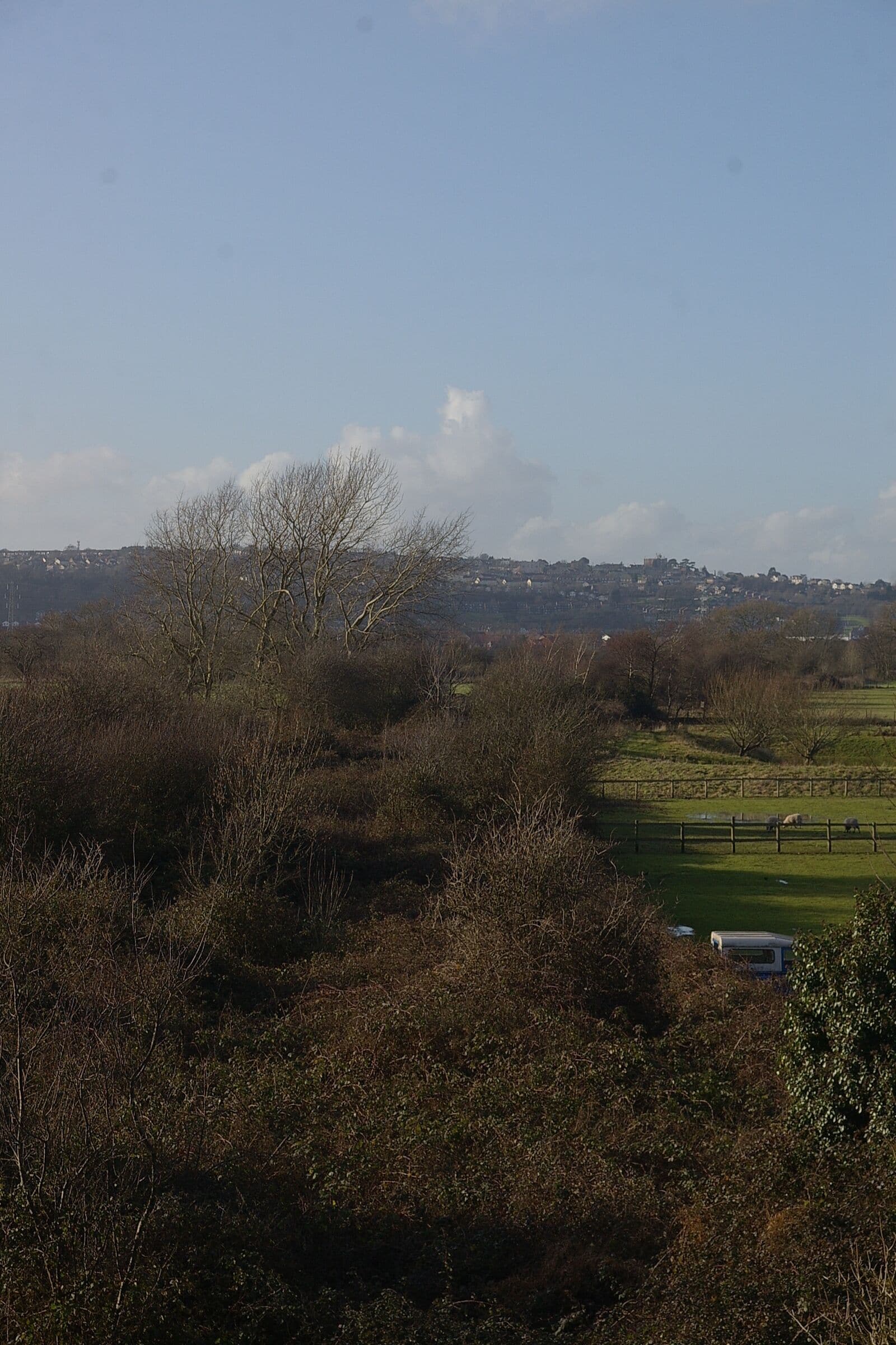 Looking towards Portishead from the site of Portbury Station on the Portishead Branchline. The track is still there, just very overgrown.
