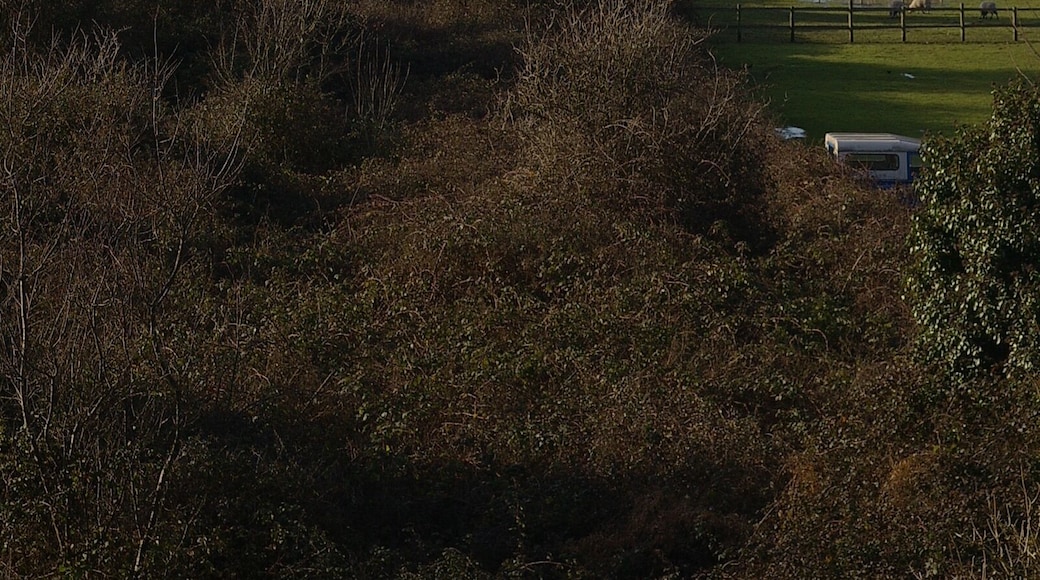 Looking towards Portishead from the site of Portbury Station on the Portishead Branchline. The track is still there, just very overgrown.