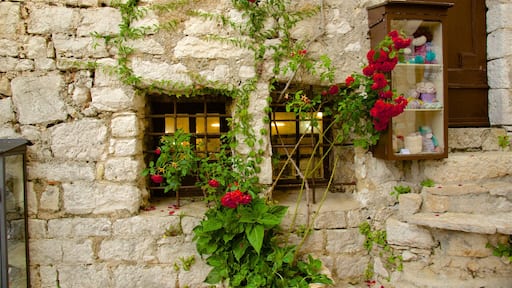 Provence - Alpes - Cote d\'Azur showing flowers