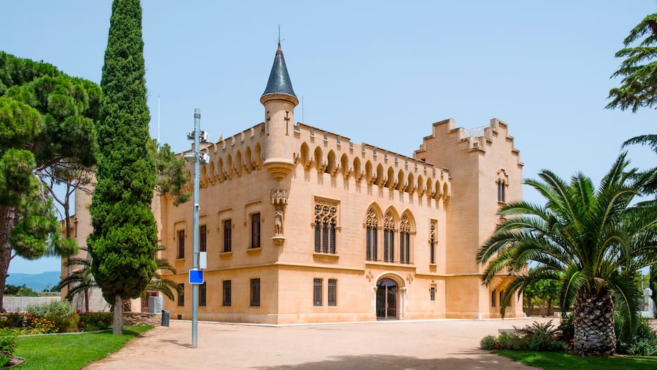 A castle with a conical roof, arched windows, and a stone tower.