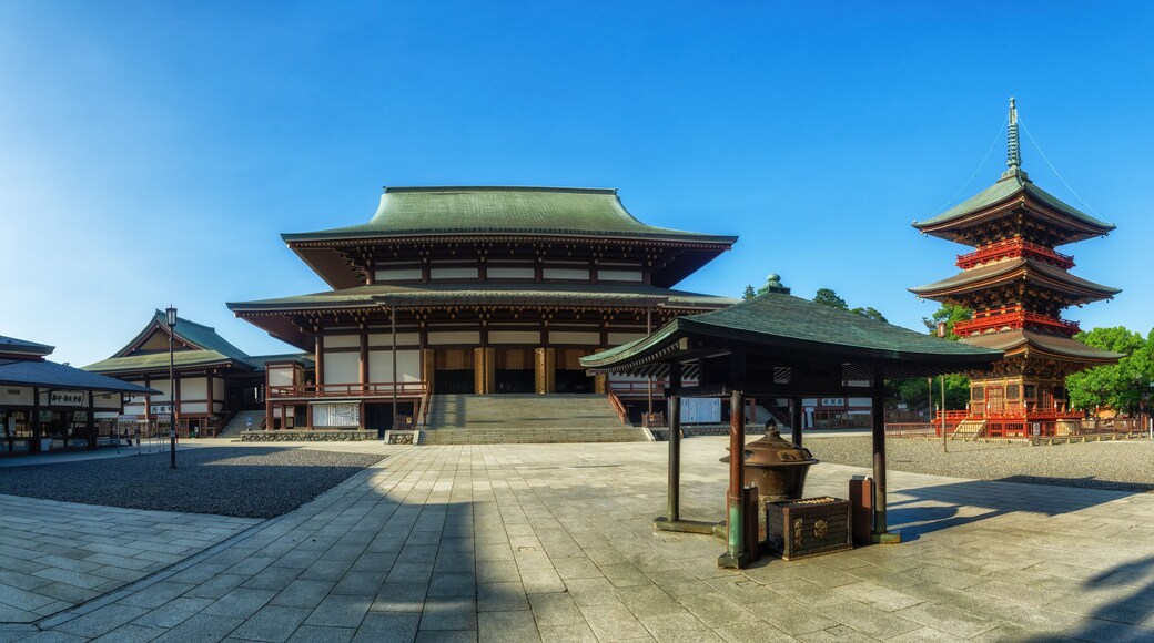 view of Naritasan temple with red pagoda and blue sky in Naritasan Shinshoji temple at Chiba Prefecture.