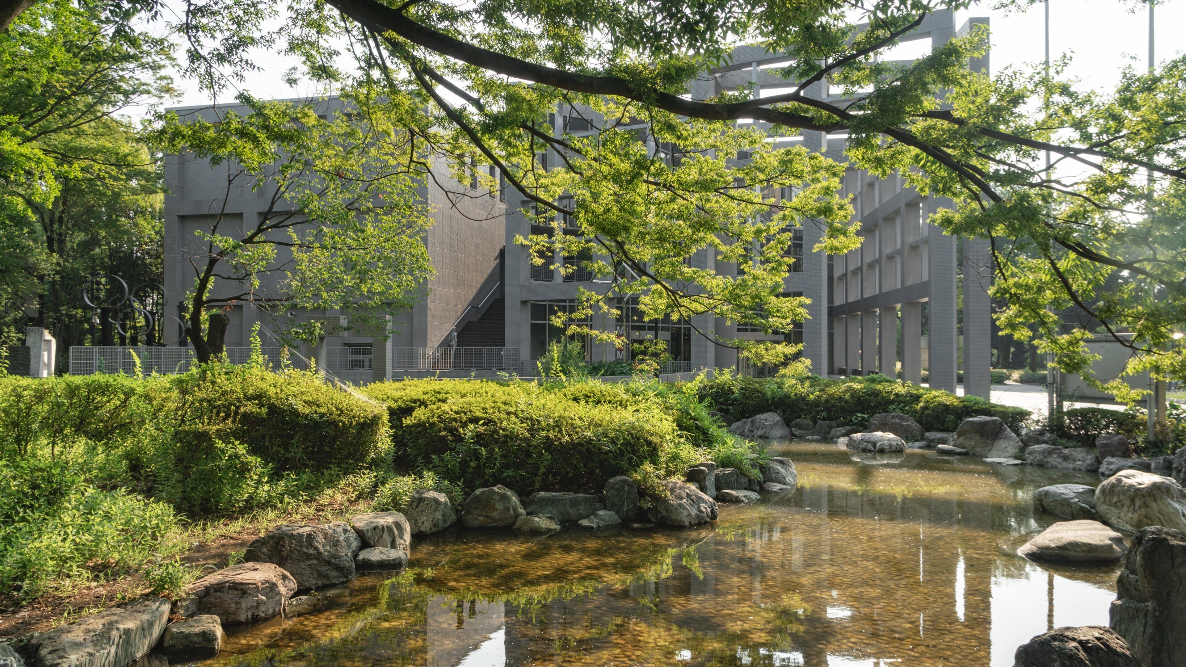 Saitama featuring a pond