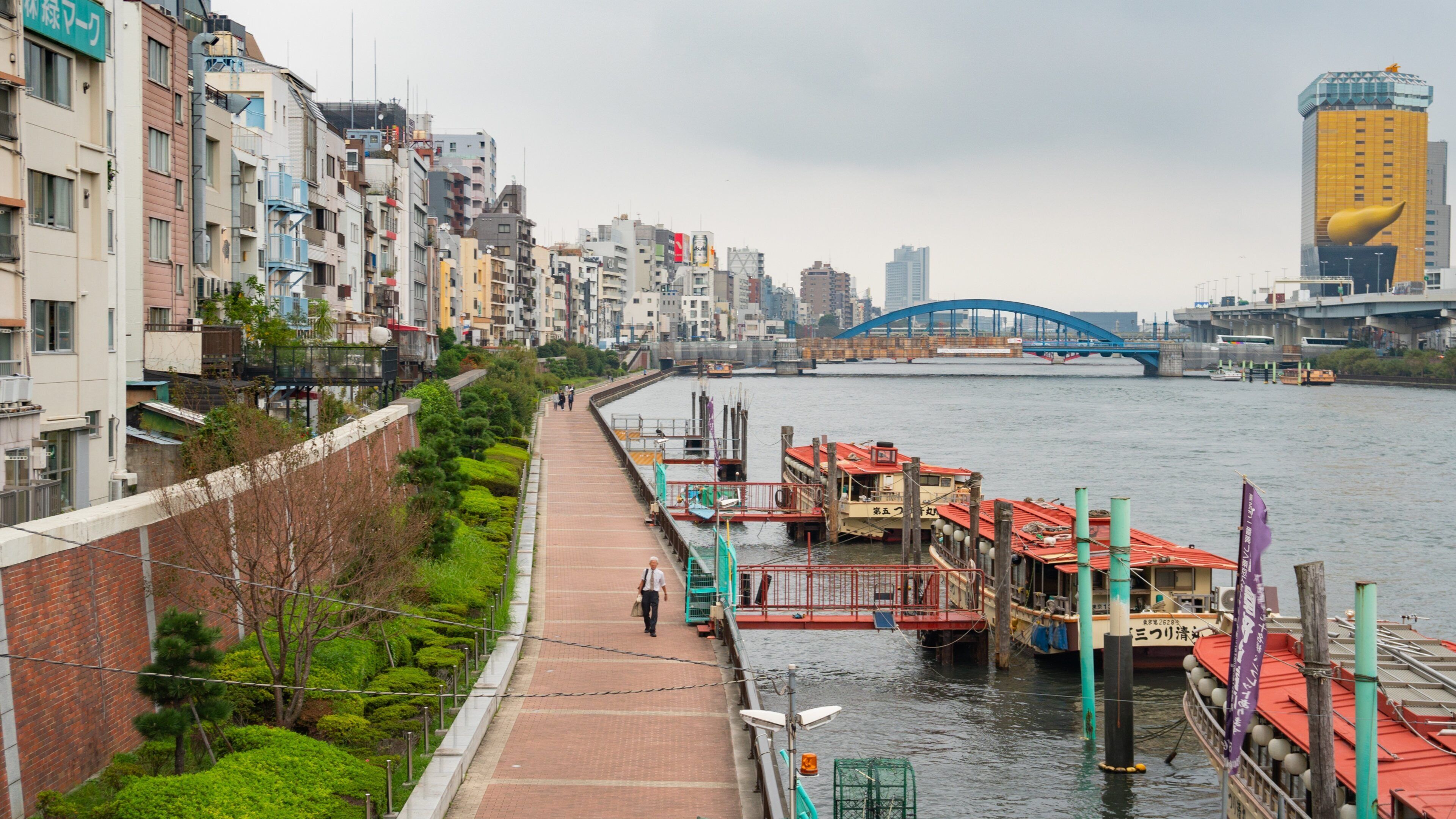 Shutoken showing a city and a river or creek