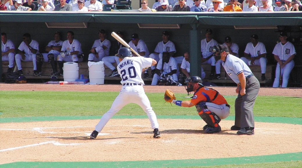 Lakeland - Winter Haven welches beinhaltet Sportevent sowie große Menschengruppe