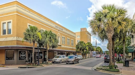I took this snapshot of Main St. Leesburg, FL on my phone to use as a hero image for our new website under https://leesburgflwebdesign.com
I plan to take many more during better lighting, at higher resolution and the camera on a tripod.