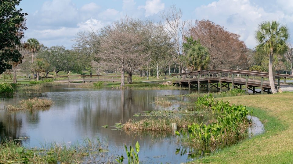 A park with a pond, a wooden bridge, and trees.
