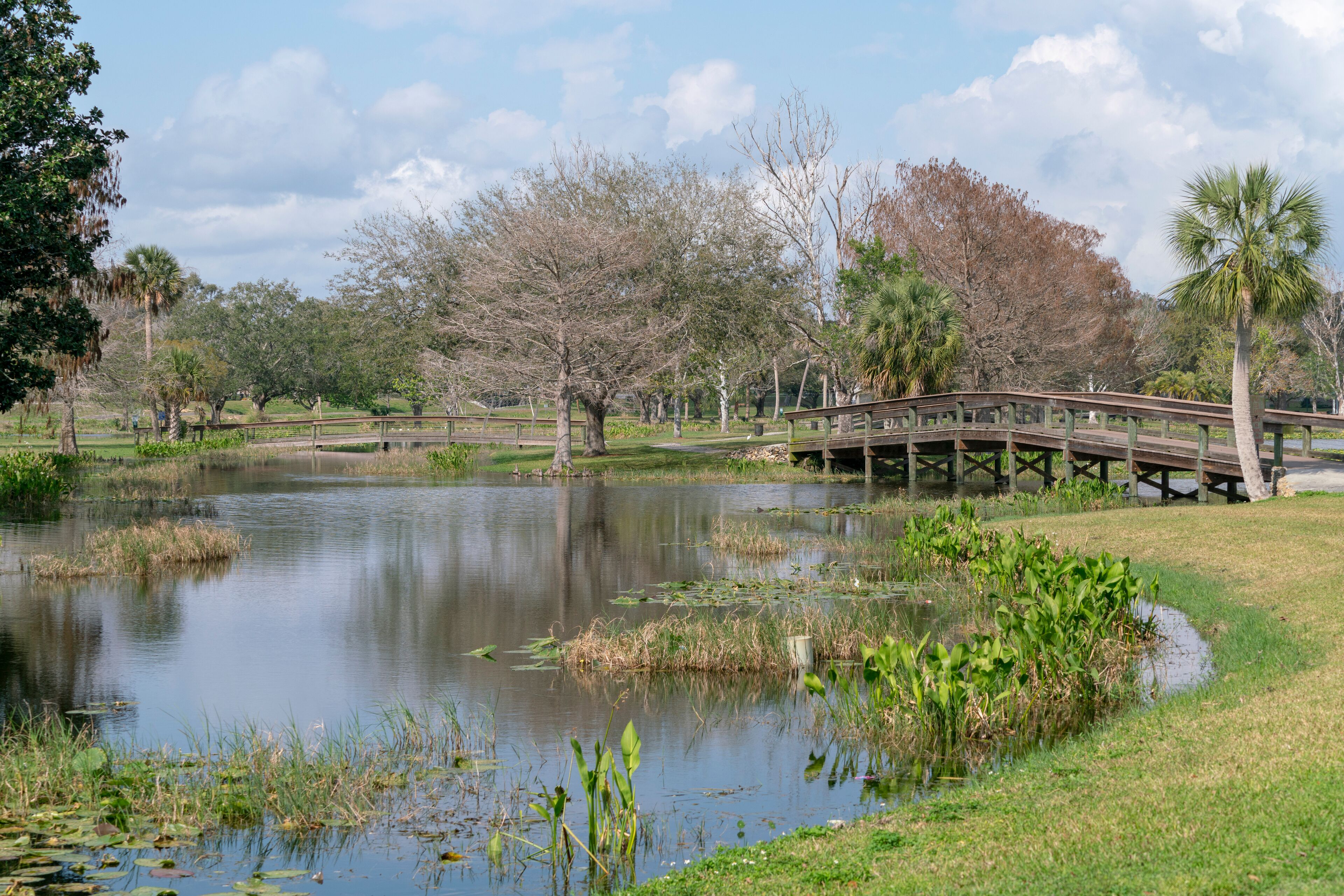 A park with a pond, a wooden bridge, and trees.