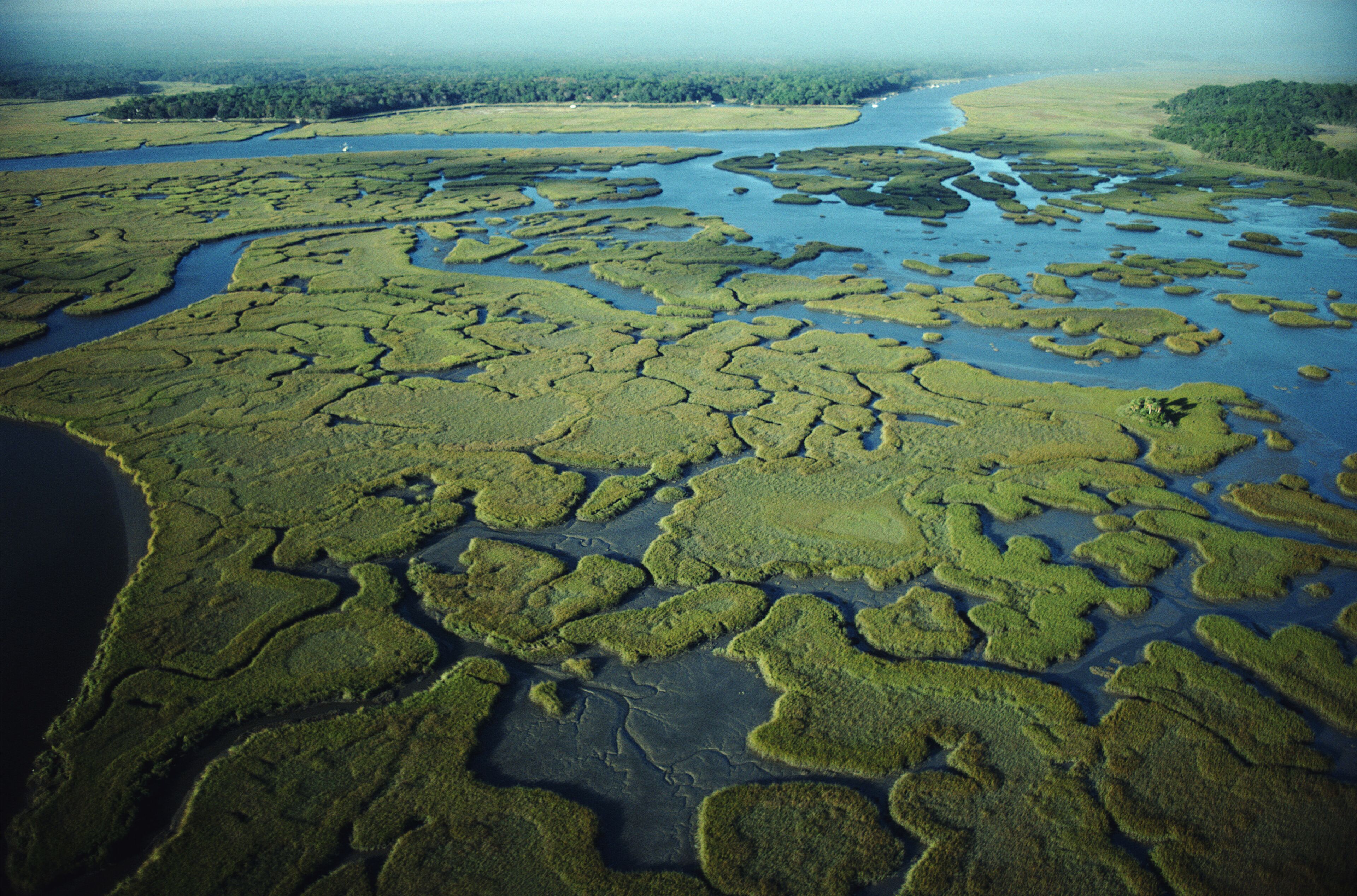 Aerial View of Florida Wetlands