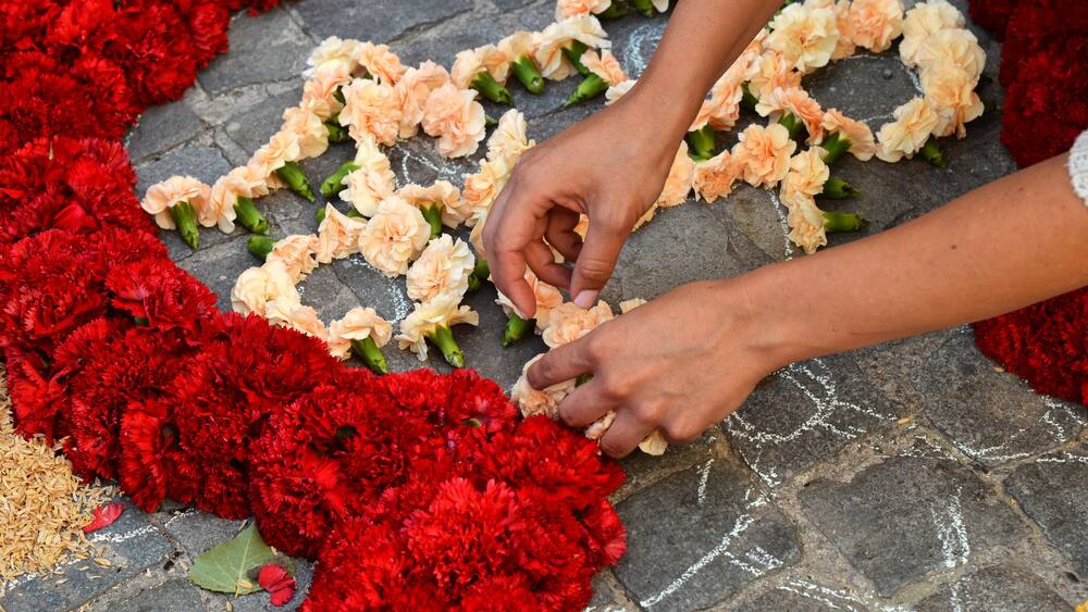 Carpets of flowers in progress