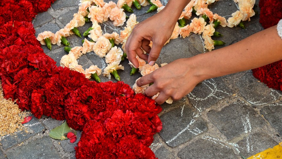 Carpets of flowers in progress