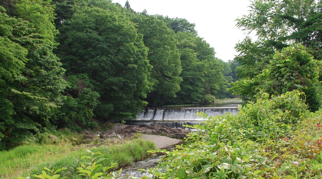 Ochiai, Hanno, Saitama Prefecture 357-0047, Japan