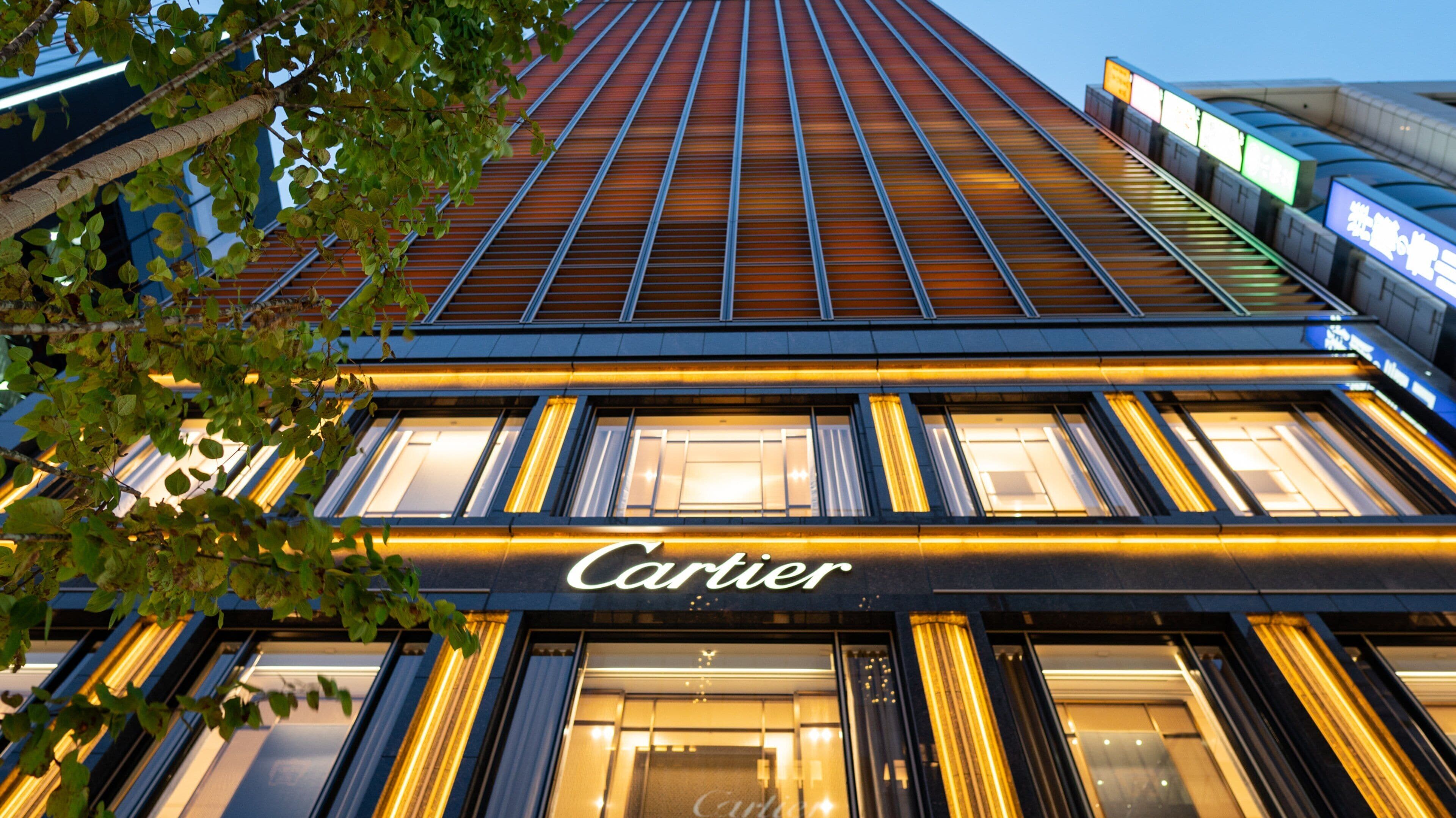 Ginza Travel Guide: Best of Ginza, Tokyo Travel 2026 | Expedia.co.in