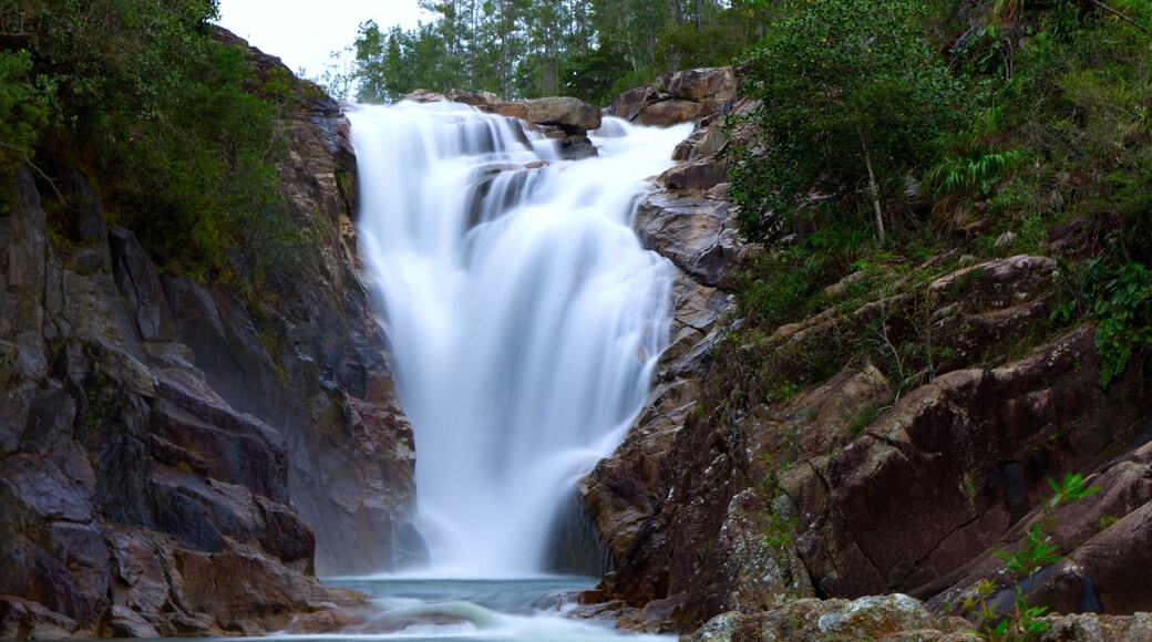 Motion blur of Big Rock Falls in Mountain Pine Ridge Forest Reserve, Belize