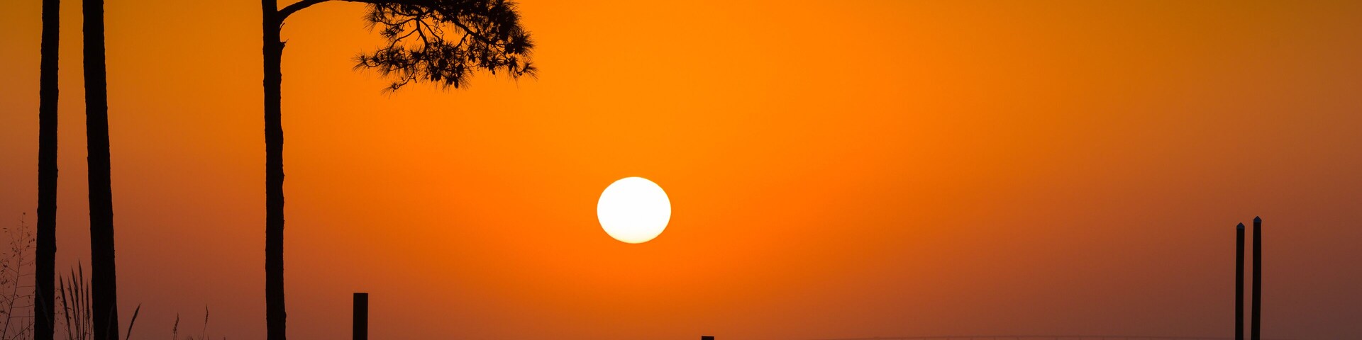 Golden Sunrise Over Shalimar