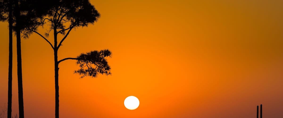 Golden Sunrise Over Shalimar