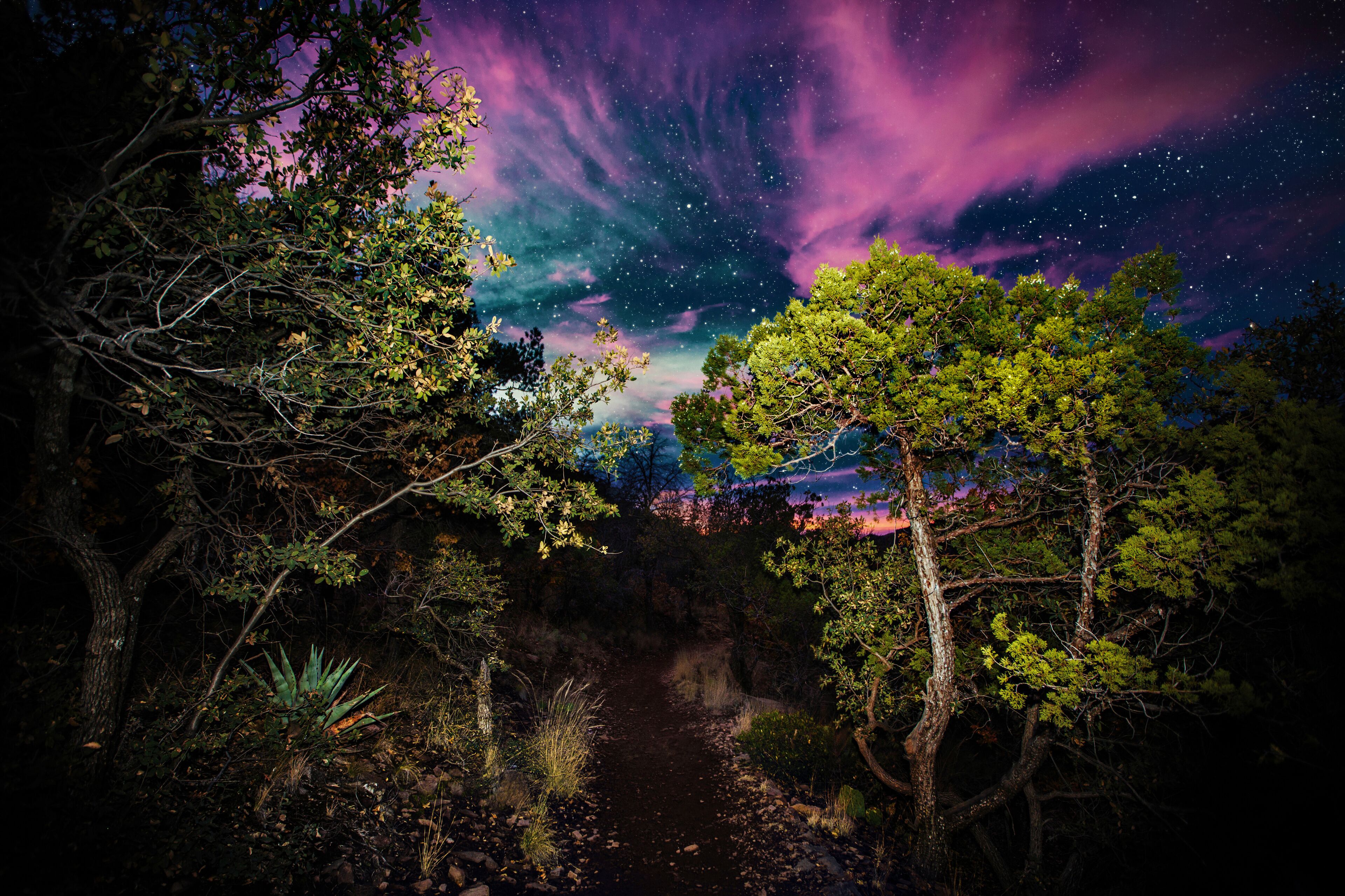 Hiking at night. Lost Mine Trail, Big Bend