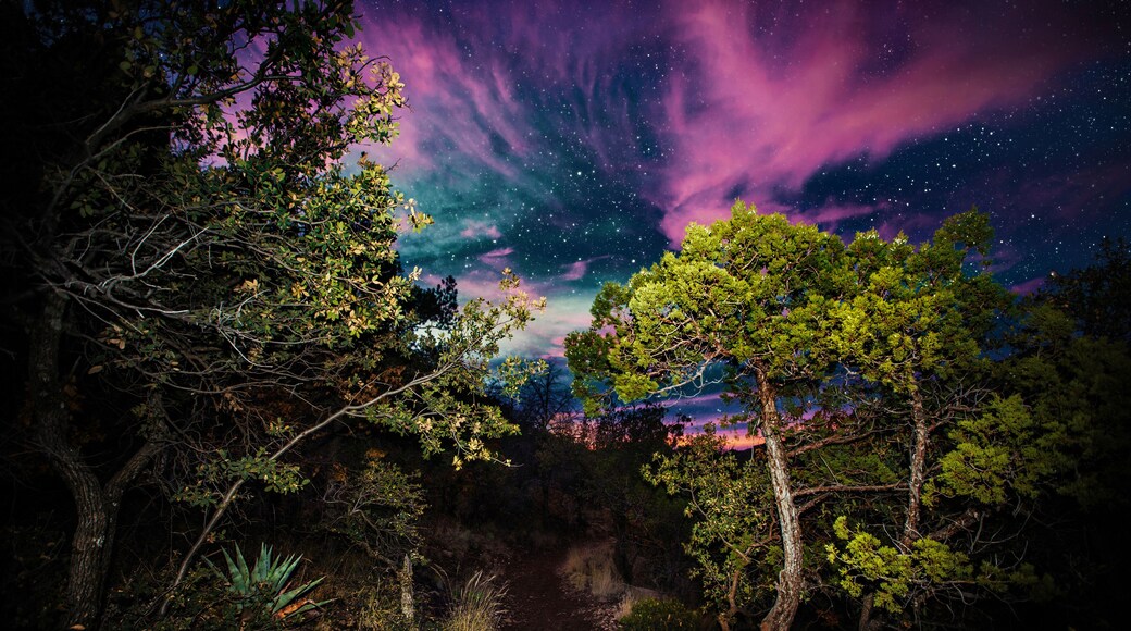 Hiking at night. Lost Mine Trail, Big Bend