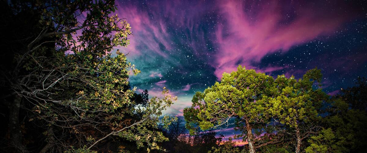 Hiking at night. Lost Mine Trail, Big Bend