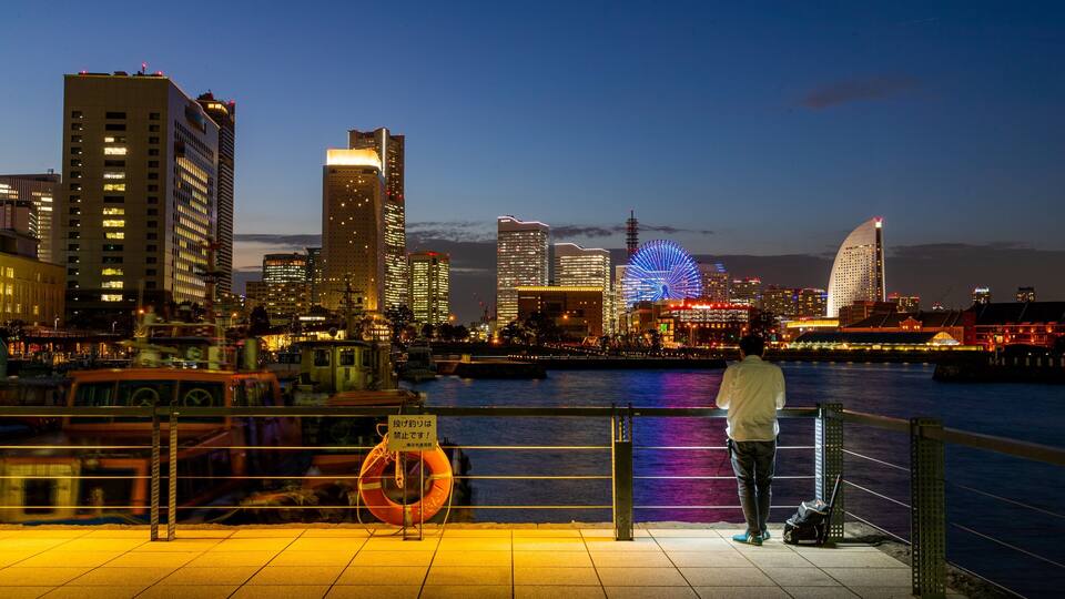 A city skyline at night with illuminated buildings and a Ferris wheel.