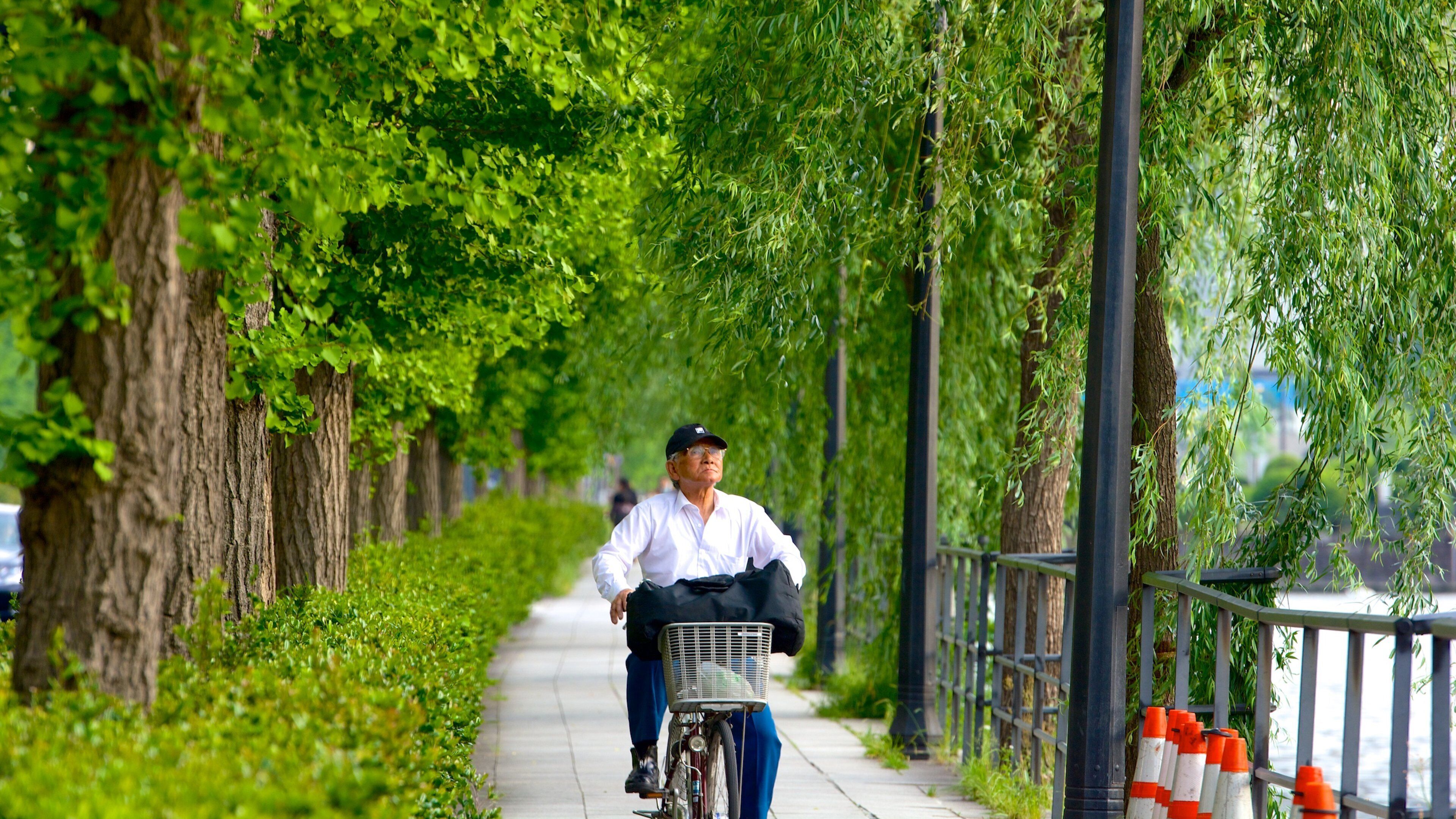 Marunouchi showing a garden and cycling as well as an individual male