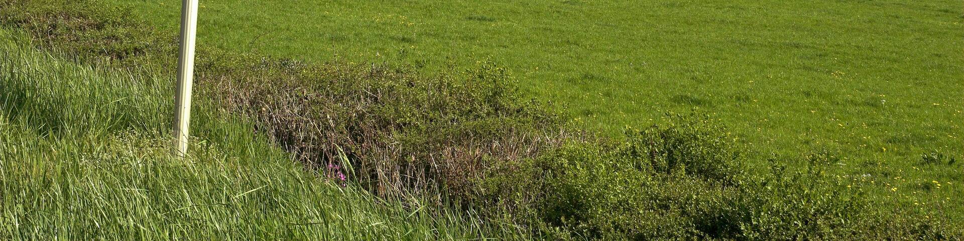 Parc naturel régional du Morvan, 71, SaÎne et Loire, France