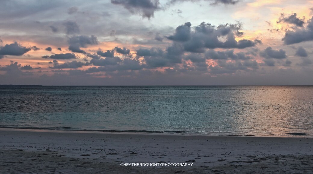 What a beautiful scene to soak up before leaving our honeymoon!
https://society6.com/heatherdoughtyphotography/collection/every-listing-art-print