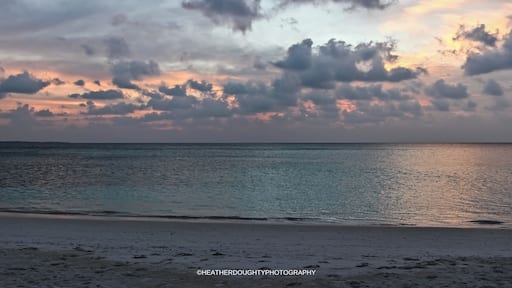What a beautiful scene to soak up before leaving our honeymoon!
https://society6.com/heatherdoughtyphotography/collection/every-listing-art-print