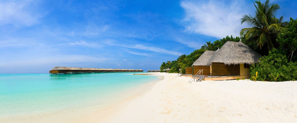 A beach with overwater bungalows, palm trees, and clear turquoise water.