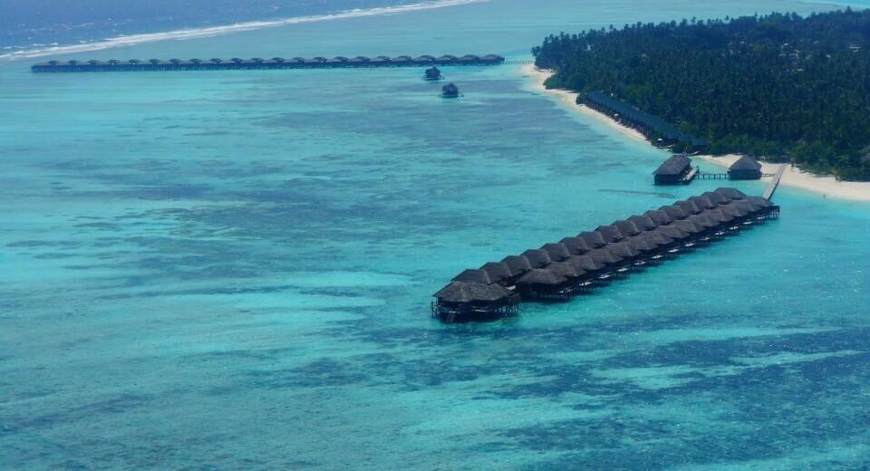 An amazing experience!