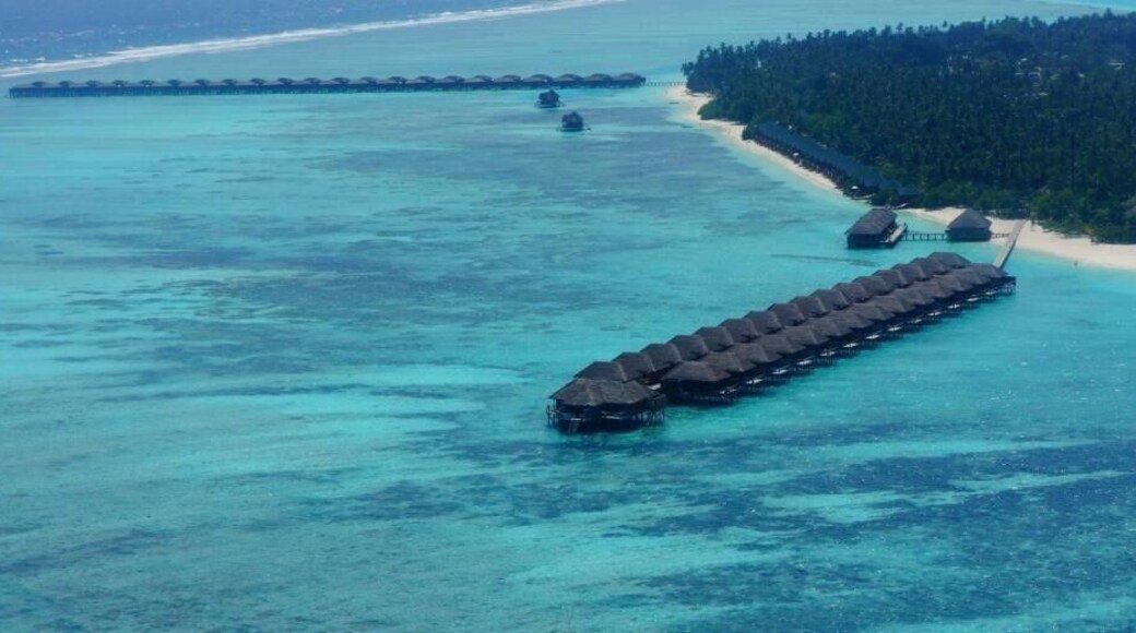 An amazing experience!