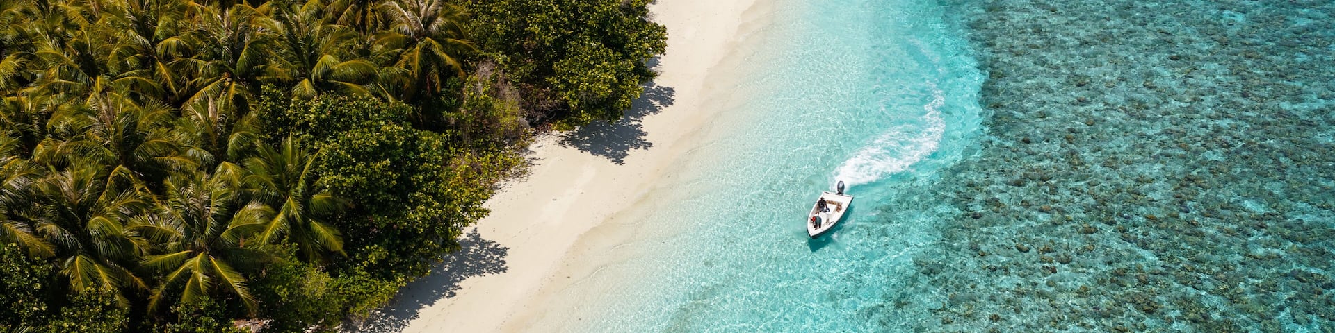 Aerial view of motor boat near beach with palm trees, Maldives