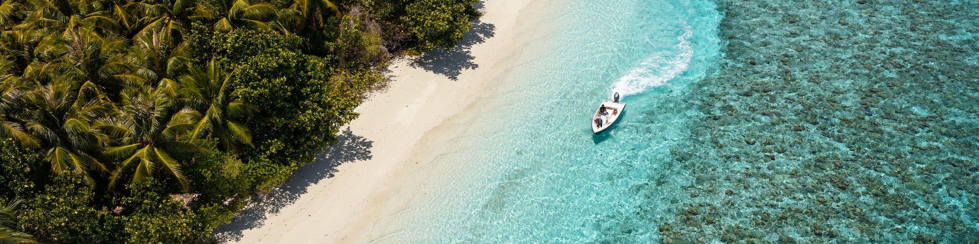 Aerial view of motor boat near beach with palm trees, Maldives