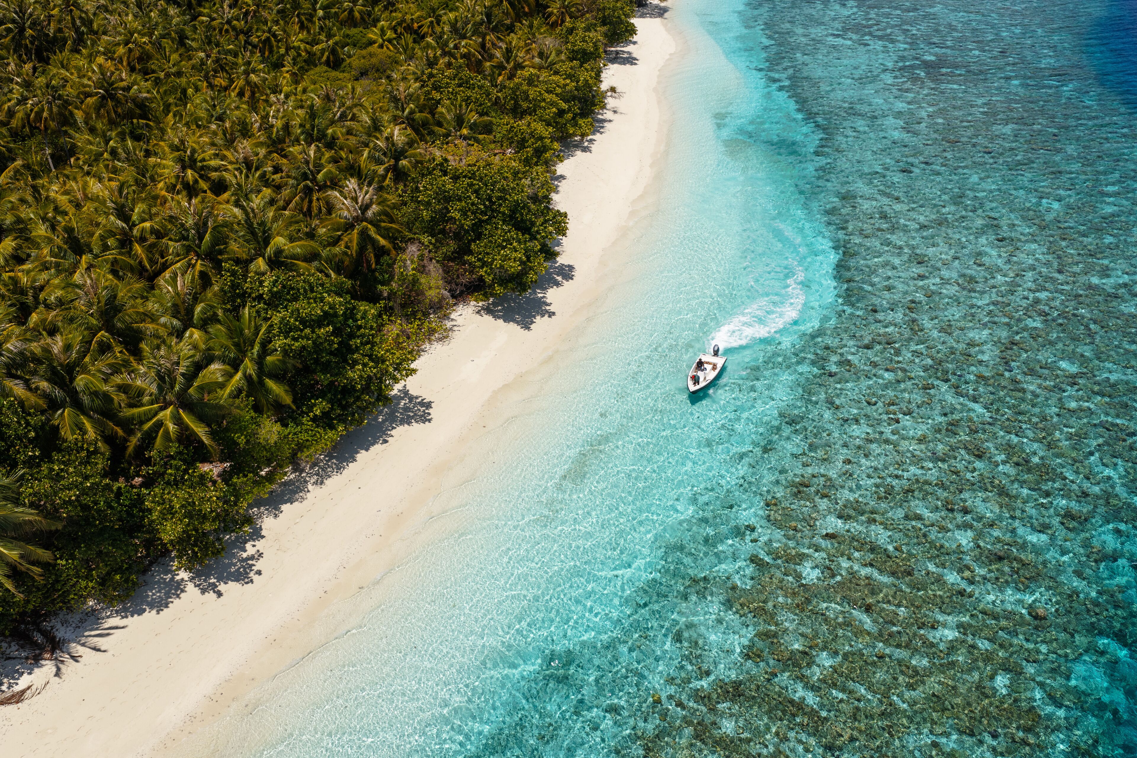 An aerial view of a beach with clear turquoise waters, a sandy shore, and dense tropical vegetation.