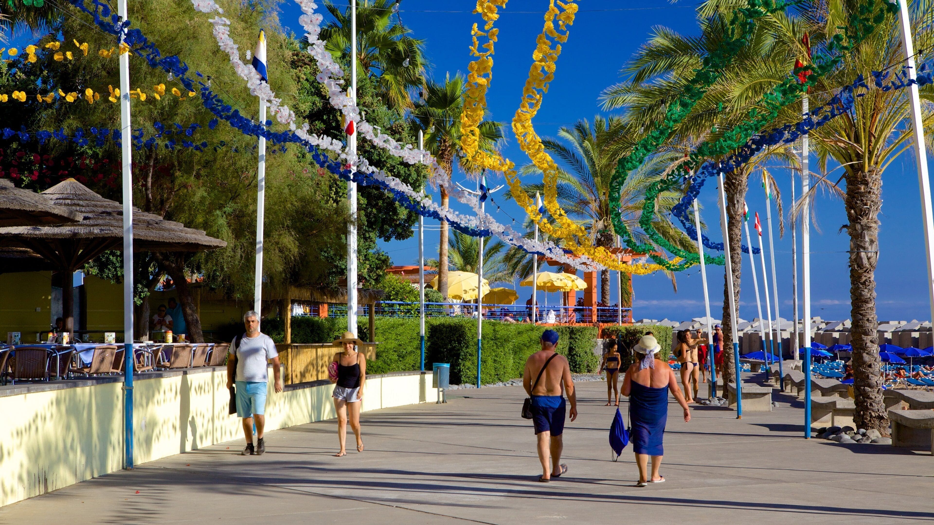 Madeira Island showing street scenes