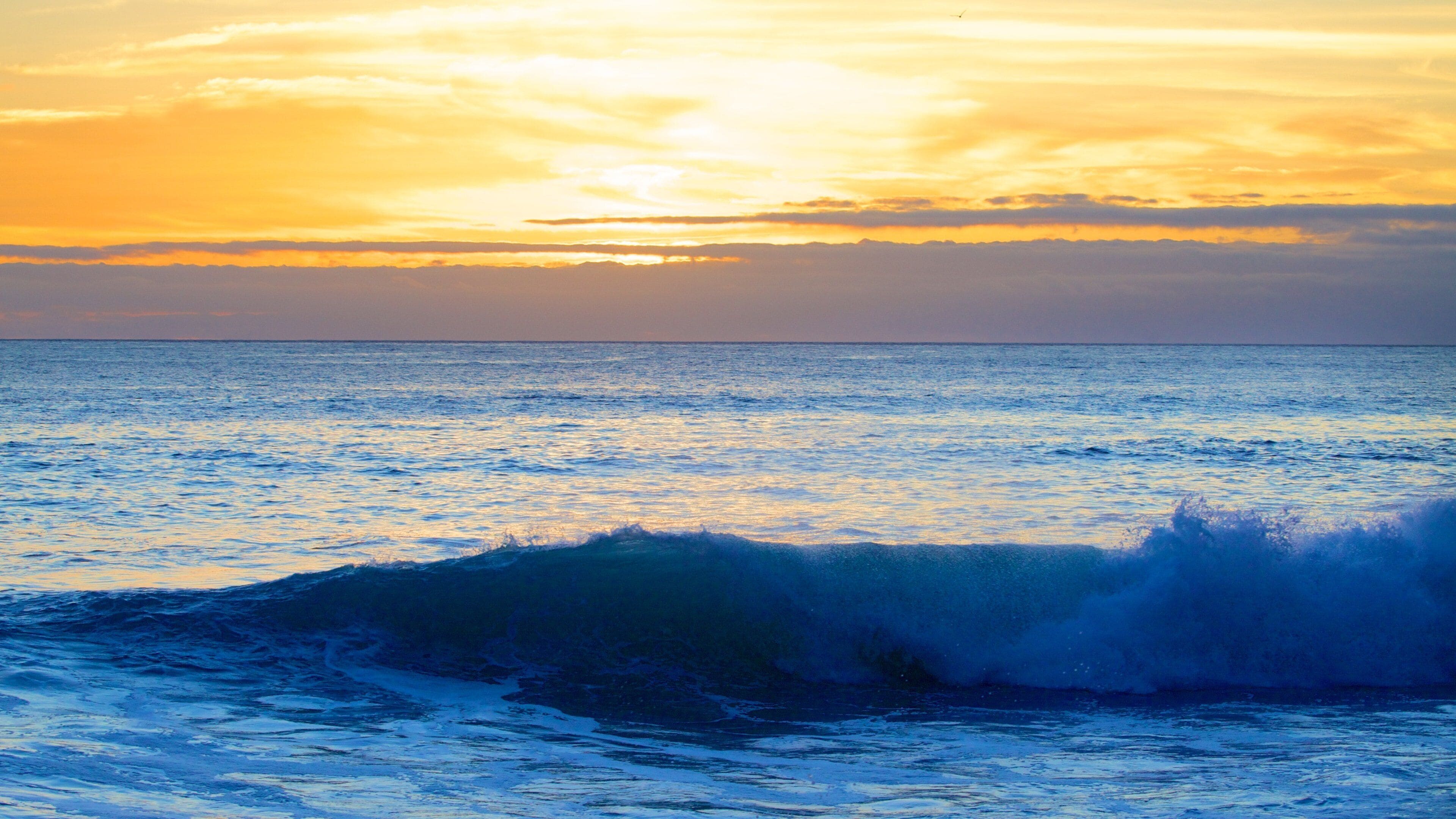 Madeira som inkluderer solnedgang og surfing